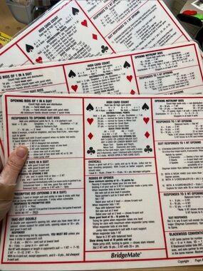 Lot of 3 Vintage Plastic BridgeMate Placements